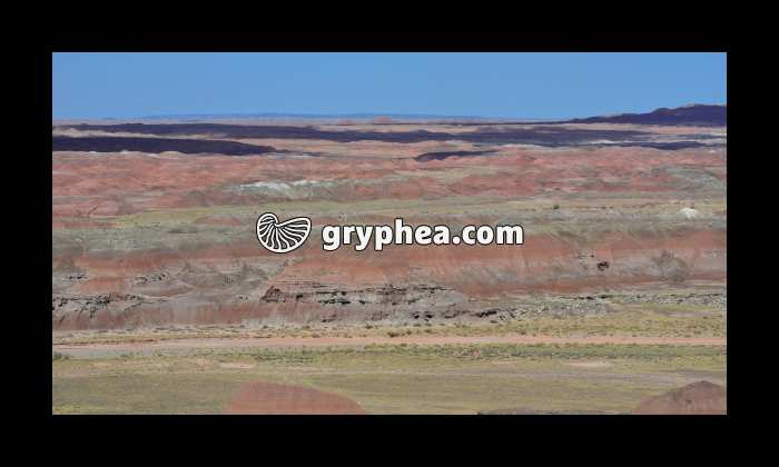 Painted desert (Arizona, USA) - gryphea.com